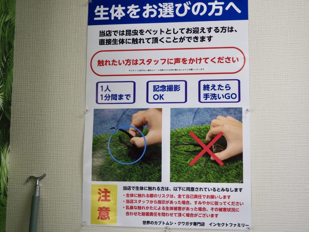 カブトムシクワガタ専門店・インセクトファミリーの張り紙