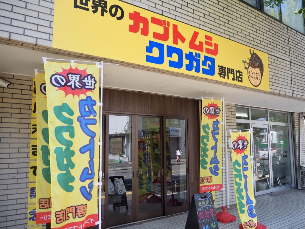 二俣川　カブトムシクワガタ専門店「インセクトファミリー」