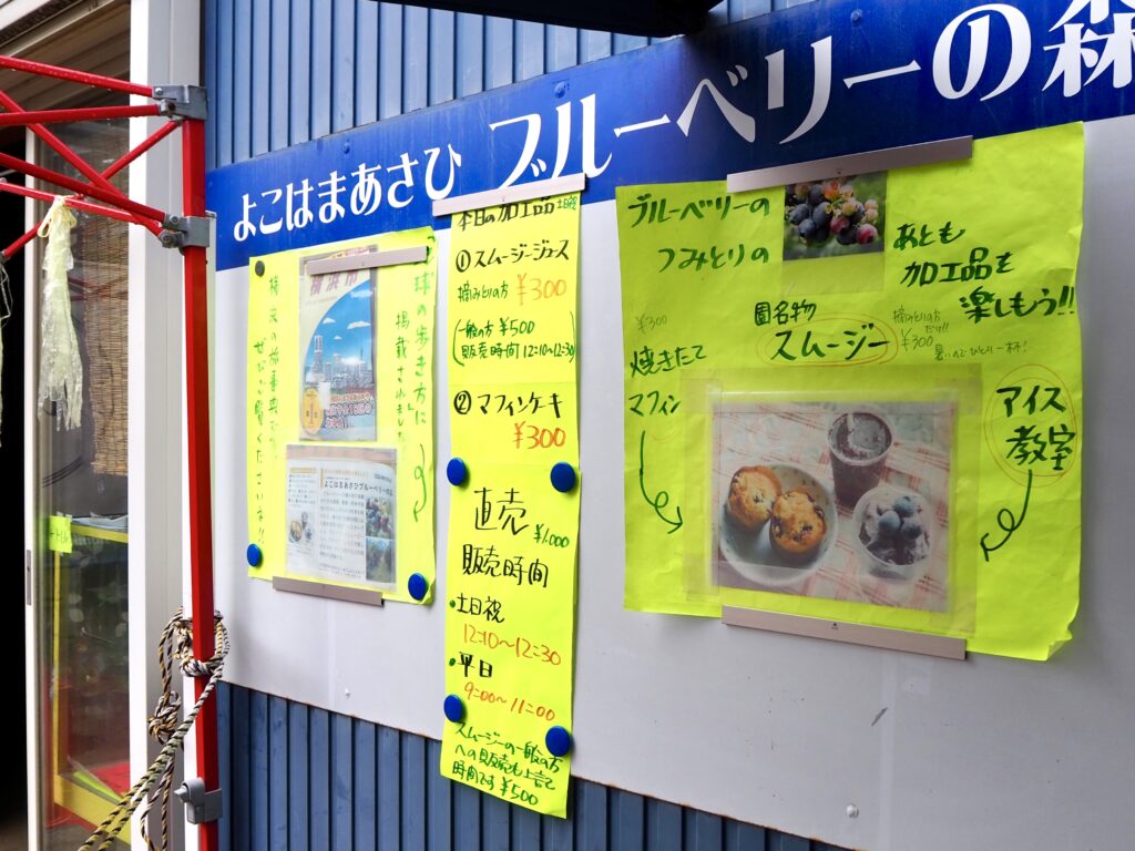 よこはまあさひブルーベリーの森 料金メニュー