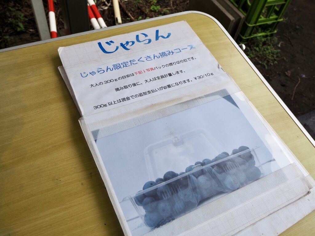 よこはまあさひブルーベリーの森 予約方法