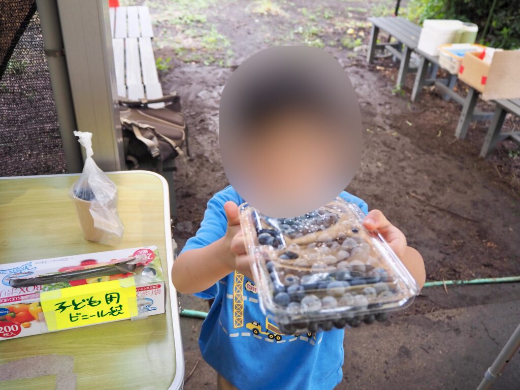 よこはまあさひブルーベリーの森 じゃらん限定プラン