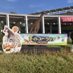 ナイトズーラシア看板