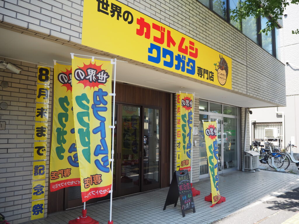 二俣川のカブトムシ・クワガタ専門店「インセクトファミリー」