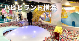 ハピピランド横浜アソビル店のボールプールと遊び場エリアの写真。室内で子どもが遊べるスポットの様子を写した画像。