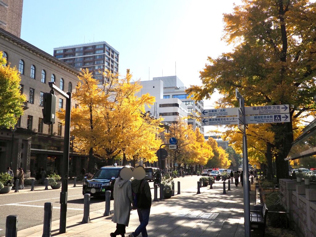 横浜にある日本大通りのイチョウ並木の写真