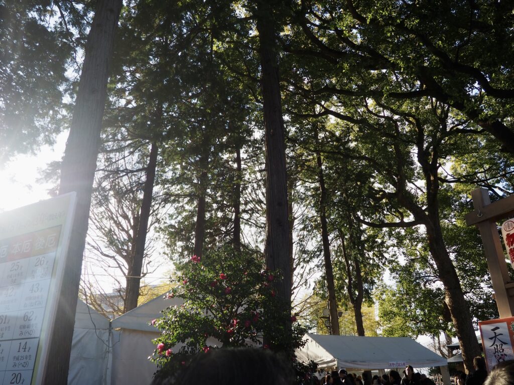 星川杉山神社の境内の写真