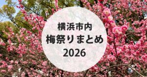 横浜市内の梅まつりまとめ2026｜満開の梅の花の写真