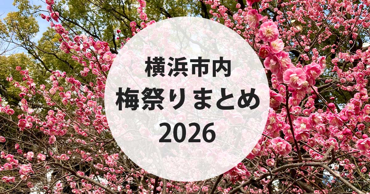 横浜市内の梅まつりまとめ2026|満開の梅の花の写真