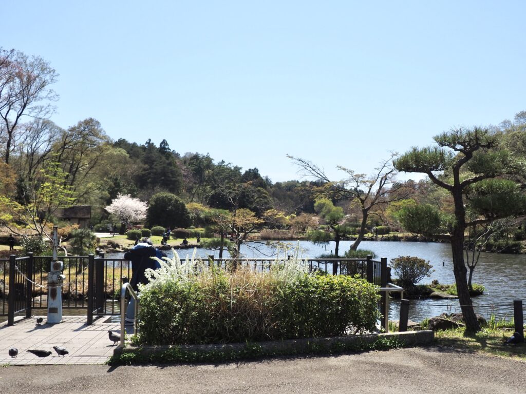 こども自然公園(大池公園)の池の写真