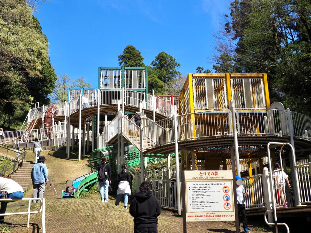 こども自然公園(大池公園)のアスレチック(とりでの森)の写真