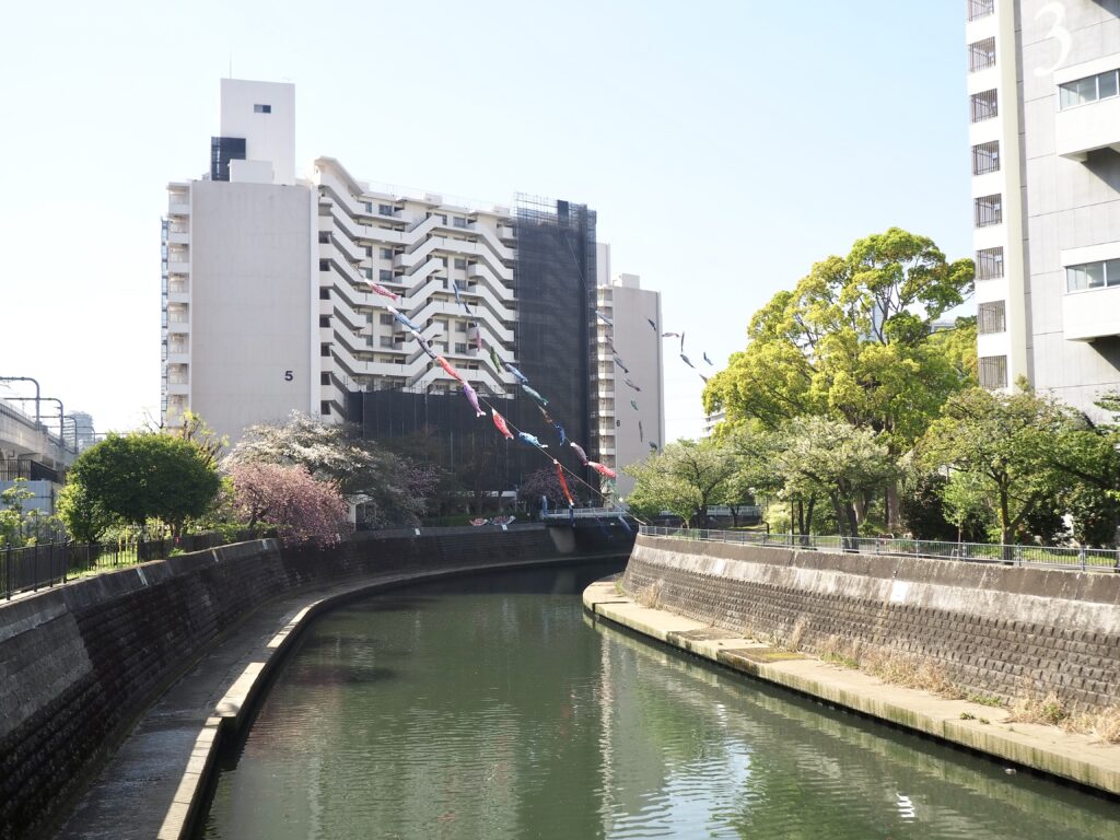 天王町から星川方面に歩くと見えてくる川。鯉のぼりが飾られています