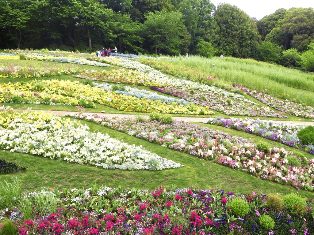 里山ガーデン大花壇の写真