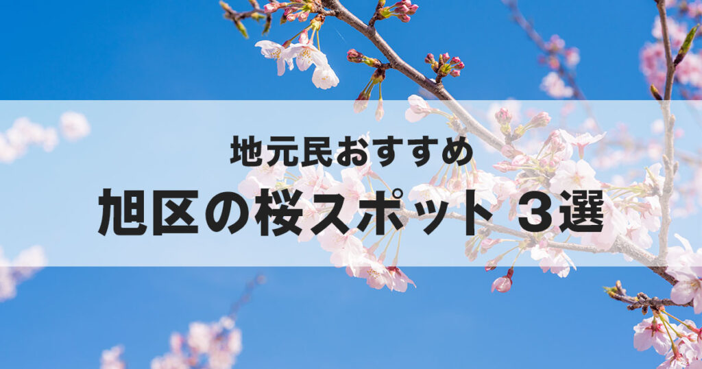 横浜市旭区の桜スポット3選のサムネイル（青空と桜の花）