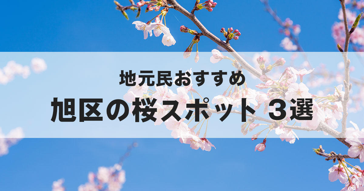 横浜市旭区の桜スポット3選のサムネイル(青空と桜の花)