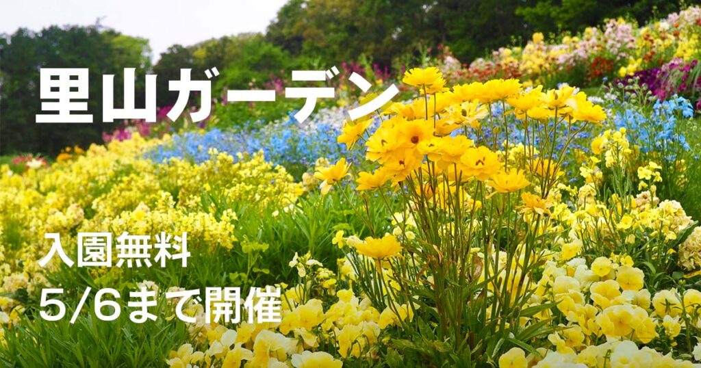 里山ガーデンの大花壇（横浜）｜2026年春は5月6日まで開催の無料花スポット