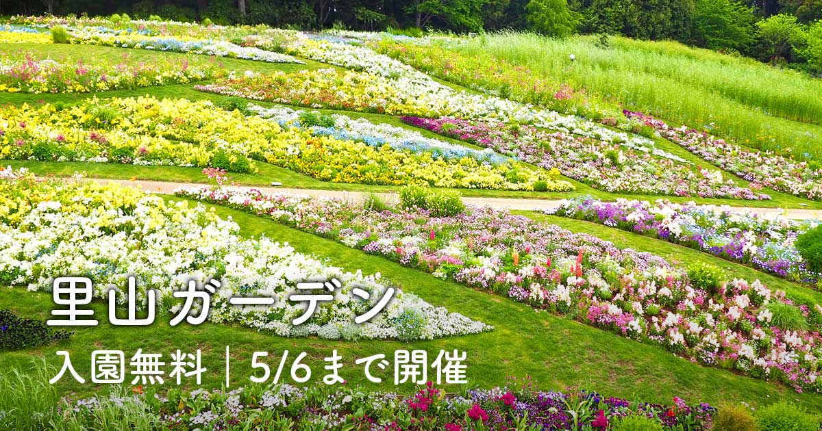 里山ガーデンの大花壇（横浜）｜2026年春は5月6日まで開催の無料花スポット