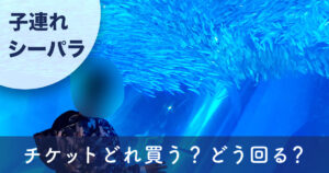 横浜・八景島シーパラダイスの水族館で魚を見る子ども（子連れお出かけ・チケット選びと回り方ガイド）