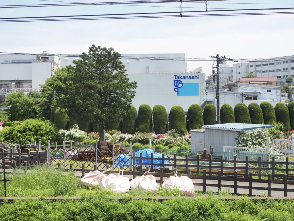 タカナシ乳業 横浜工場のバラ園｜無料開放された園内に咲くバラの様子