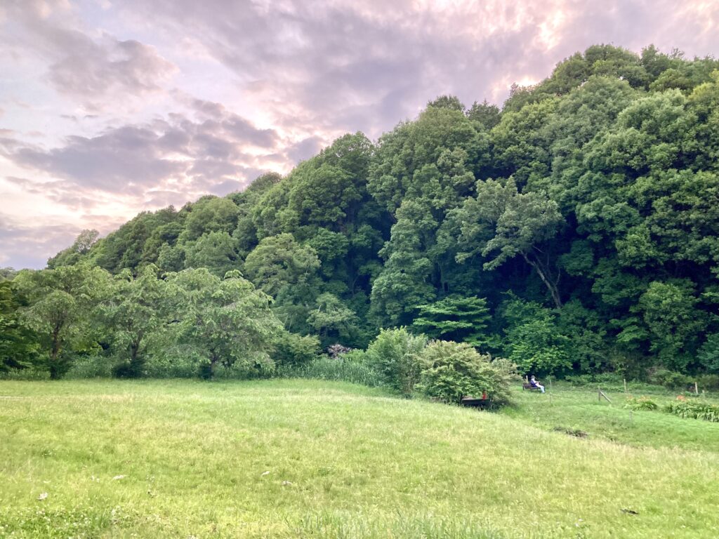 ホタル観賞時間帯の四季の森公園