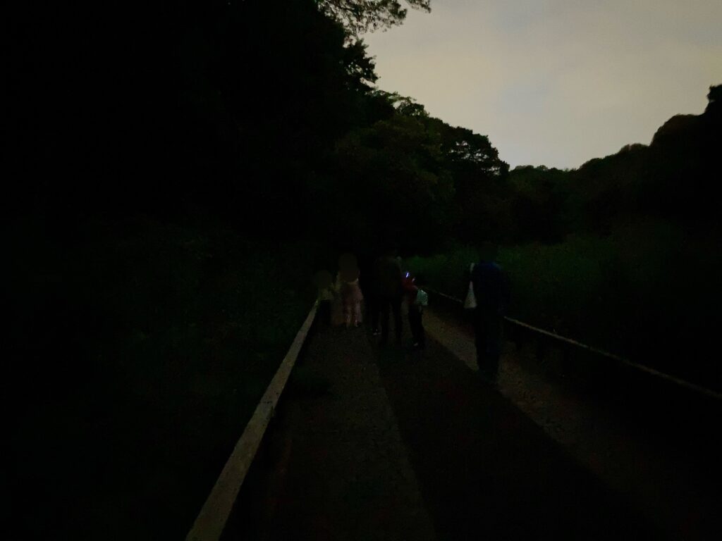 ホタル観賞時間帯の四季の森公園。街灯が少なく非常に暗い