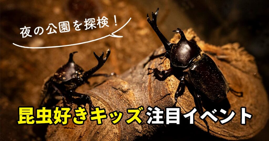 夜の公園を探検！昆虫好きキッズ向け「わくわく夜の生きもの観察会」のイメージ