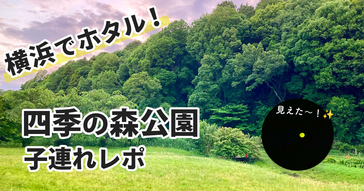 横浜市緑区・四季の森公園のホタル観賞レポを紹介するサムネイル画像
