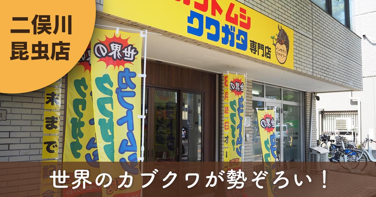 二俣川の昆虫専門店「インセクトファミリー」の店舗外観