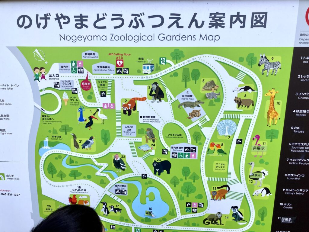 野毛山動物園の園内マップ