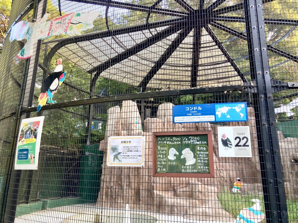 野毛山動物園でリニューアルに先駆けてお引越ししたコンドルの獣舎