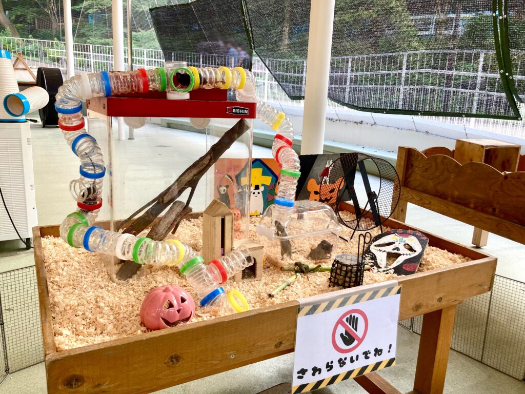 野毛山動物園のなかよし広場にいたハツカネズミの展示