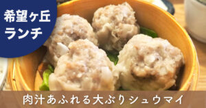 横浜市旭区希望ヶ丘「シュウマイキング」の大ぶりなシュウマイ定食